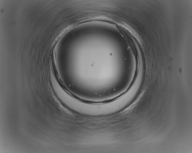 X0000070191001200605301308