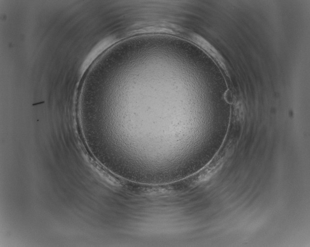 X0000070191002200605301308