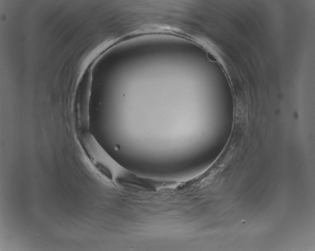 X0000070191003200605301308