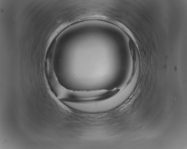 X0000070191005200605301308