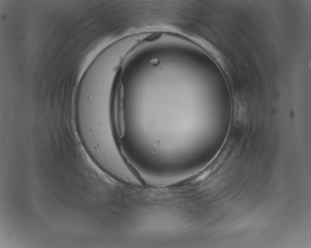 X0000070191006200605301308