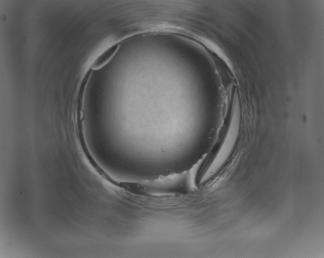 X0000070191007200605301308