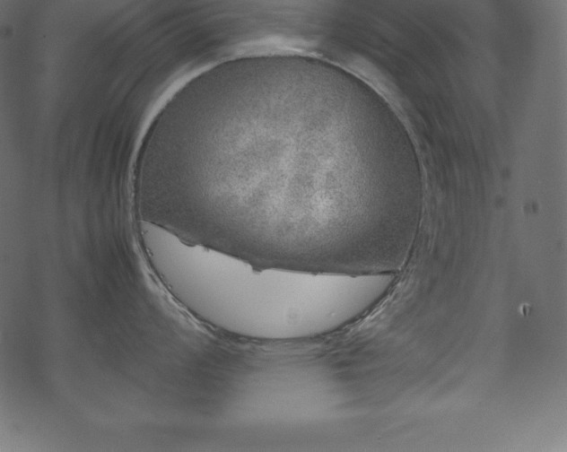 X0000070191008200605301308