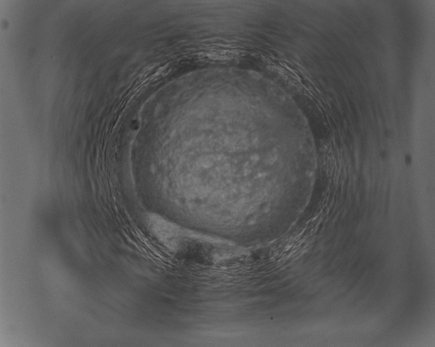 X0000070191009200605301307