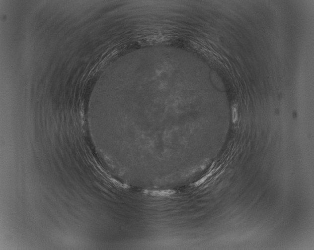 X0000070191011200605301307