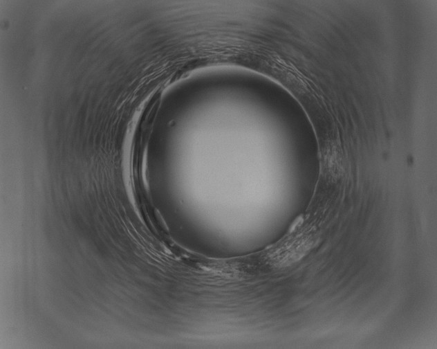 X0000070191012200605301307