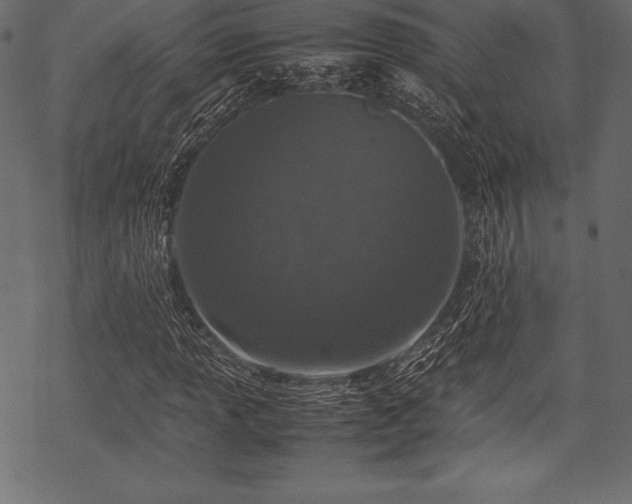 X0000070191013200605301307