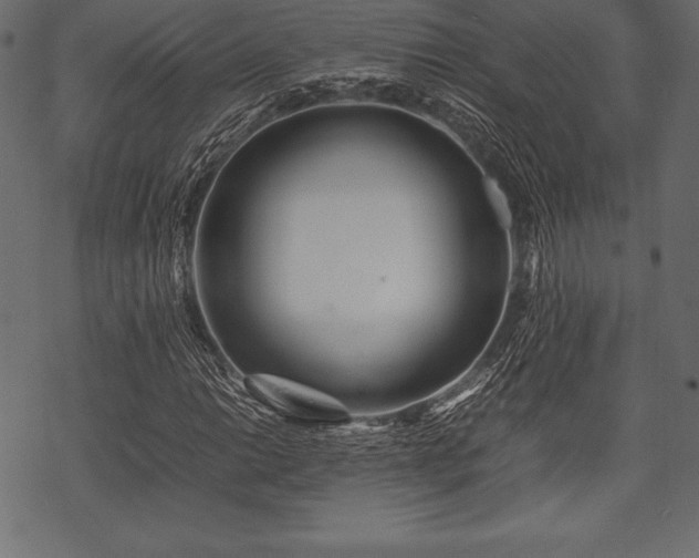 X0000070191014200605301307