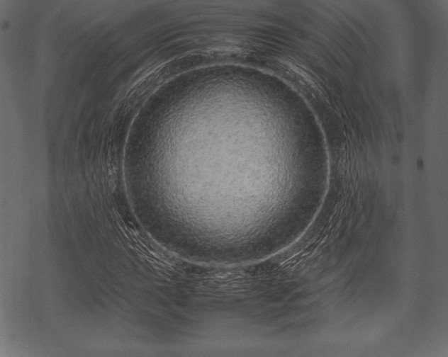 X0000070191015200605301307