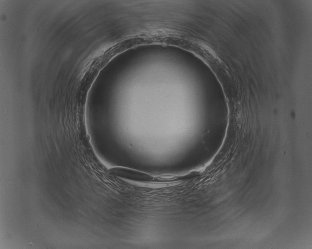 X0000070191016200605301307