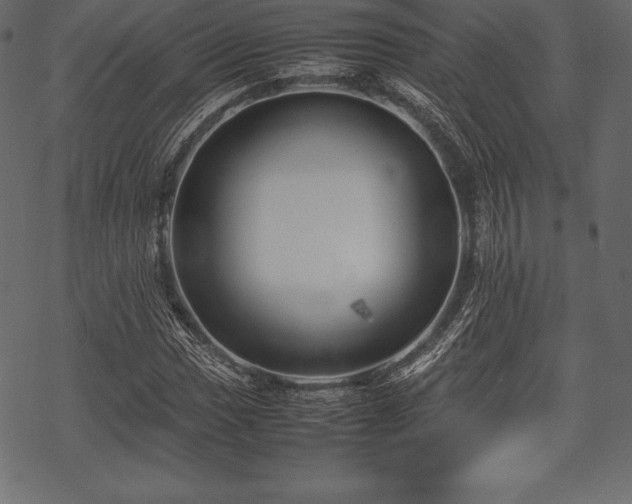 X0000070191017200605301307