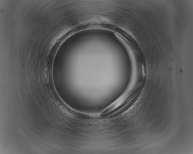 X0000070191018200605301307