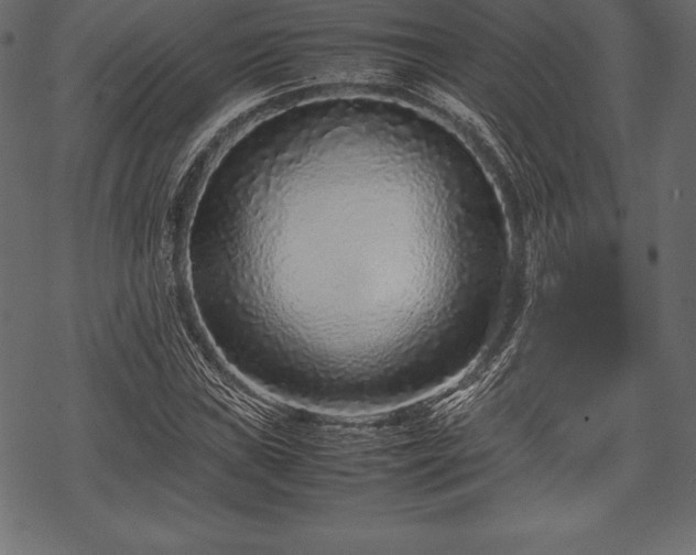 X0000070191019200605301307