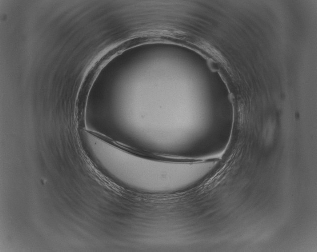 X0000070191020200605301307