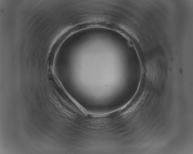 X0000070191021200605301307