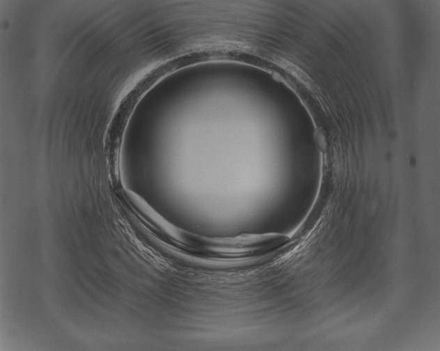 X0000070191022200605301307