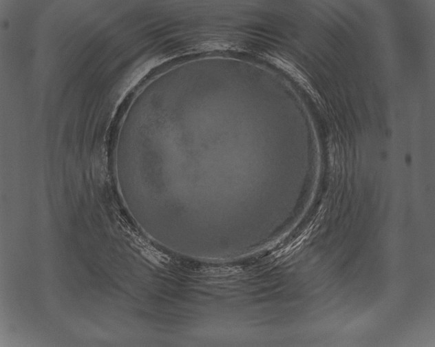 X0000070191023200605301307