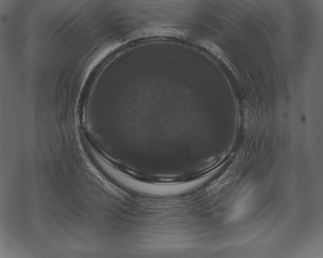 X0000070191024200605301307