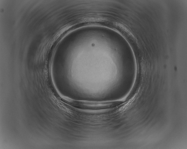 X0000070191025200605301307