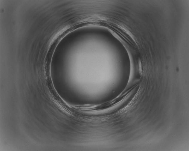 X0000070191026200605301307