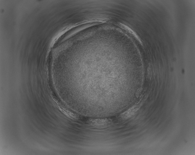 X0000070191027200605301307