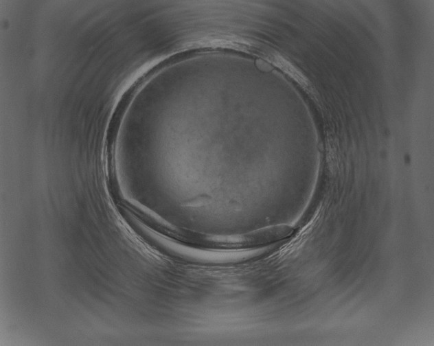 X0000070191028200605301307