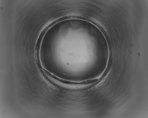 X0000070191029200605301307