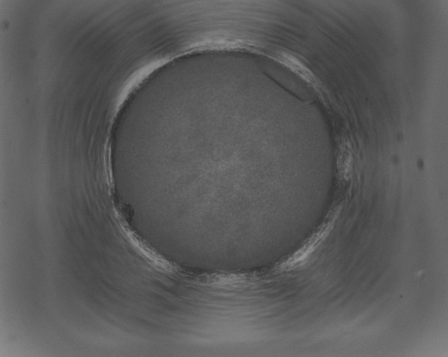 X0000070191030200605301307