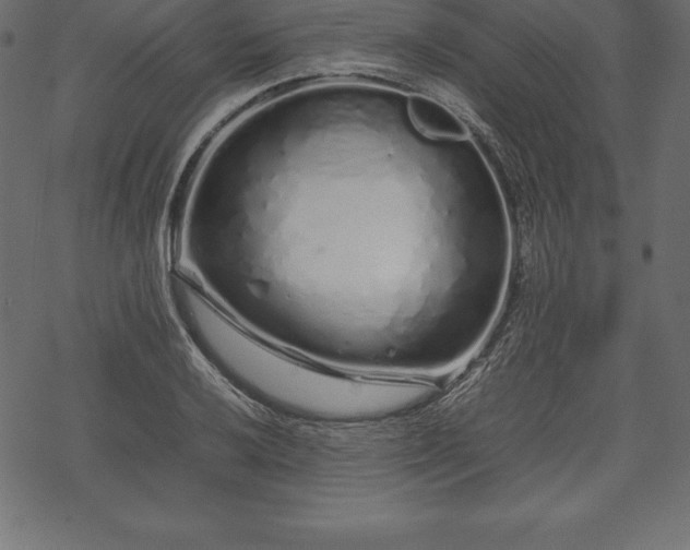 X0000070191032200605301307