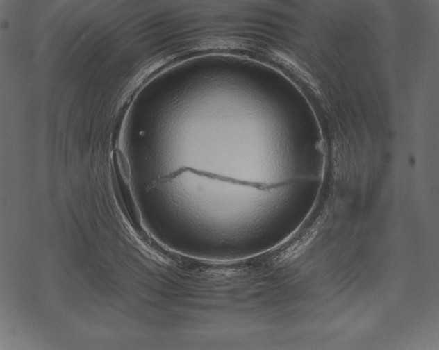 X0000070191033200605301307