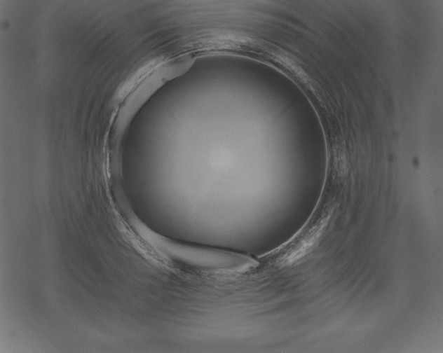 X0000070191034200605301307