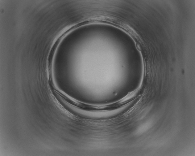 X0000070191036200605301307