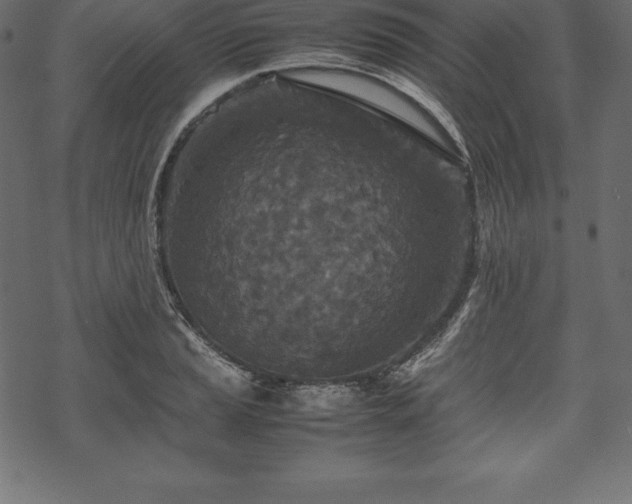 X0000070191037200605301307