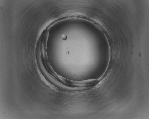 X0000070191038200605301307