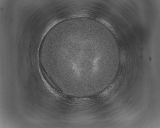 X0000070191039200605301307