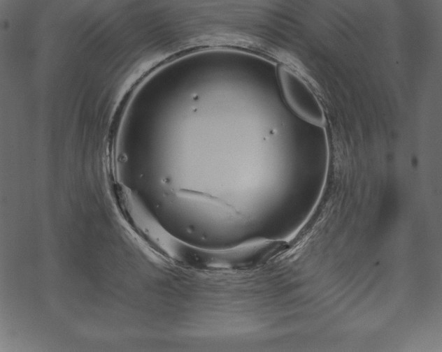 X0000070191040200605301307