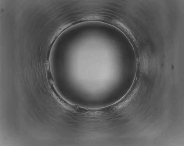 X0000070191041200605301307