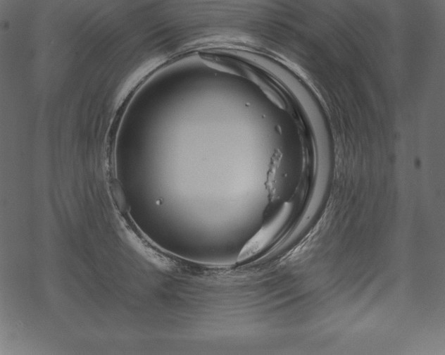 X0000070191042200605301307