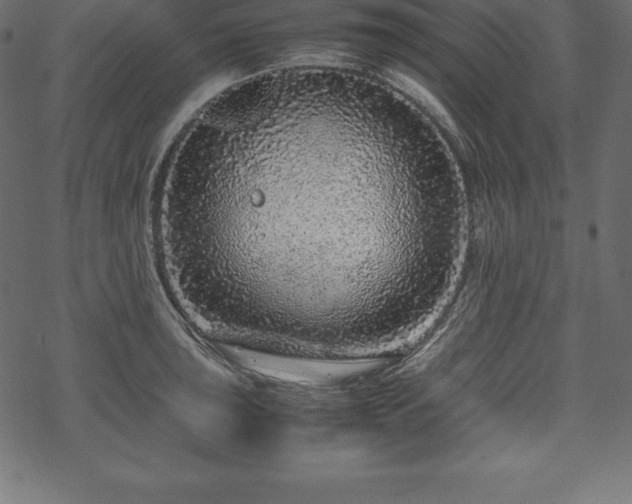 X0000070191043200605301307