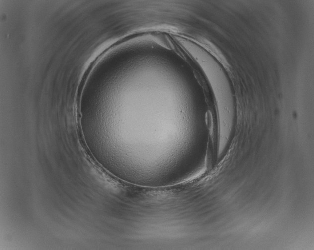 X0000070191044200605301307