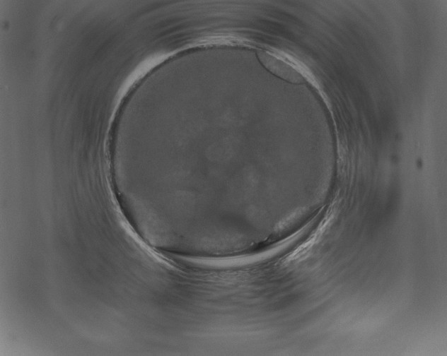 X0000070191045200605301307