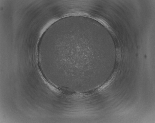 X0000070191046200605301308