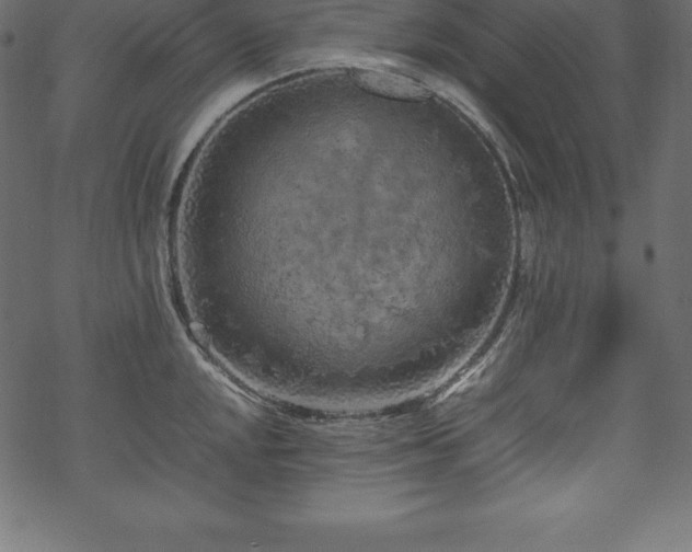 X0000070191048200605301308