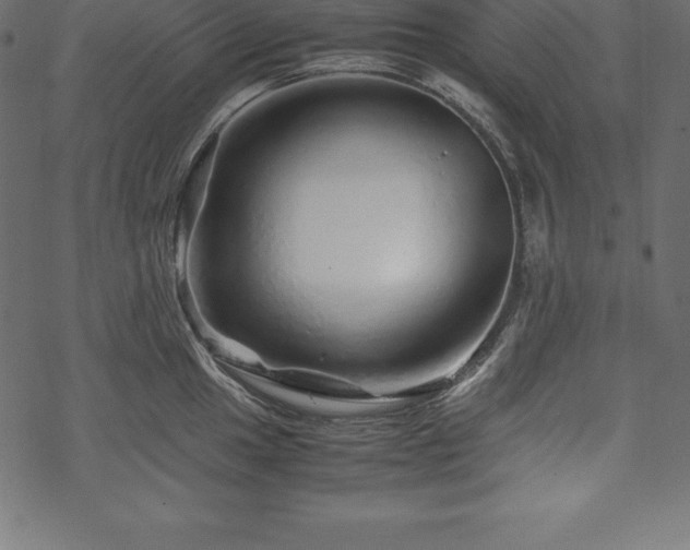 X0000070191049200605301308