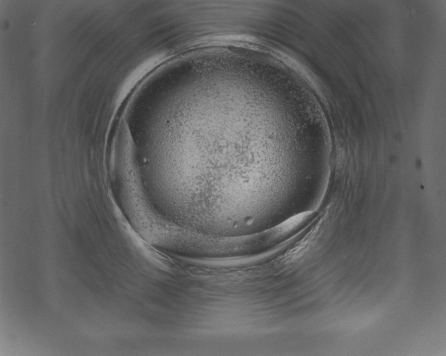 X0000070191050200605301308