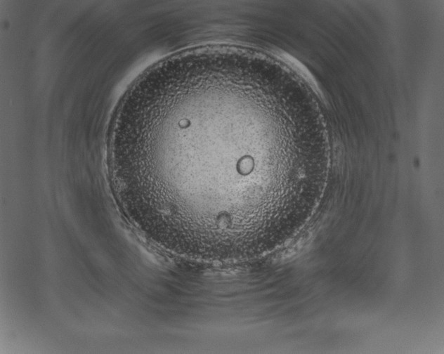 X0000070191051200605301308