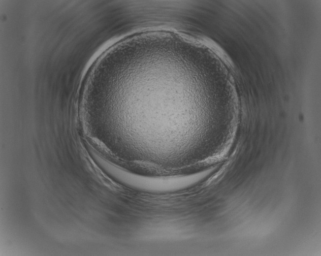 X0000070191052200605301308