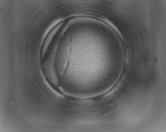 X0000070191053200605301308