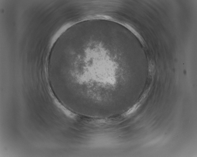 X0000070191054200605301308