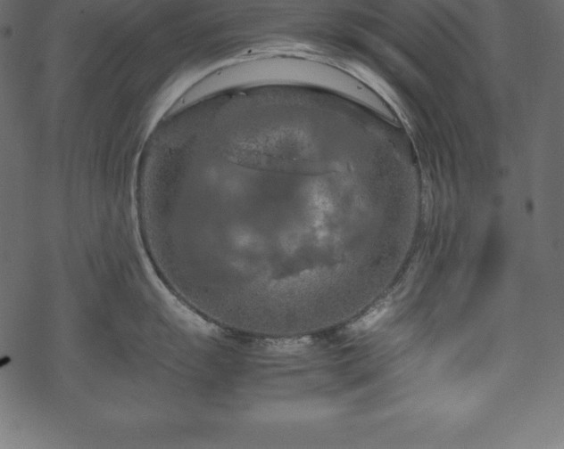 X0000070191055200605301308